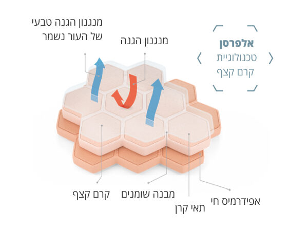 אלפרסן איור הממחיש כיצד עובדת טכנולוגיית קרם קצף