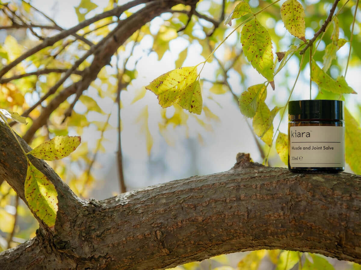 hp_banner_kiara_desktop_12-2025